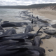 Foto: AP Images.